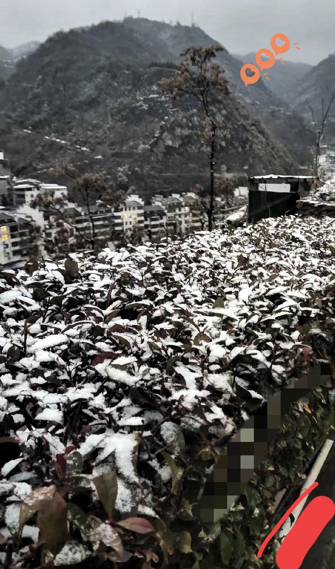 一直觉得萝卜白菜这类家常蔬菜最安心，看完央视财经的曝光，才发现食品安全的坑藏得这