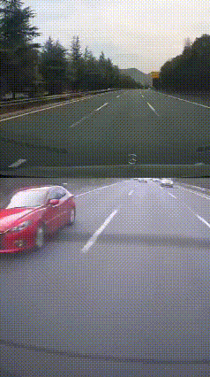 毫不夸张地说，这简直就是典型的作死行为！2月20日，有网友在浙江发布一则视频，