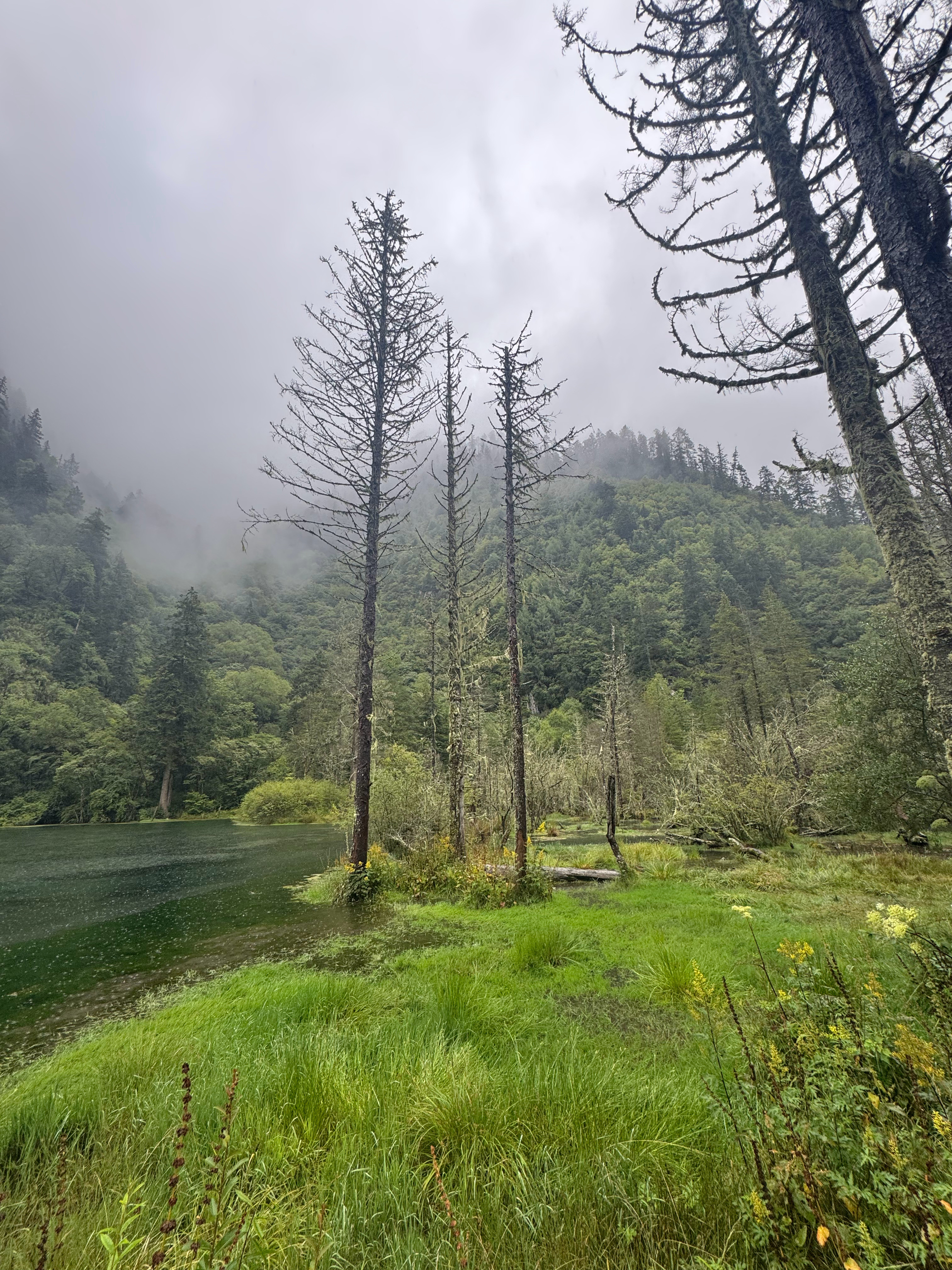 🌧️雨天的毕棚沟，承包一整个山谷的安静✨雨雾锁山林，人烟稀少没有人山人海，只有