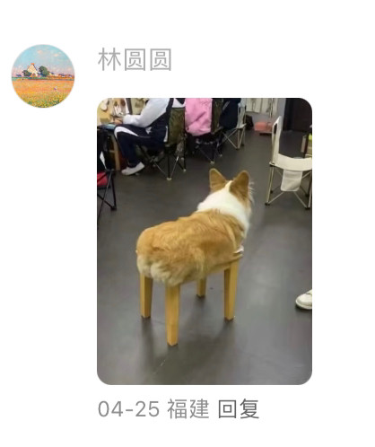 艺高狗胆大​​​