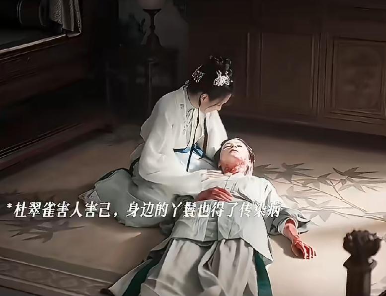 《兰香如故》杜翠雀给林家下毒，败露后被发配琼州！不得还|杜翠雀原本想给林锦岐做妾