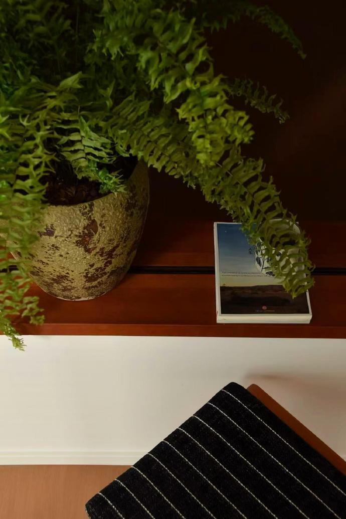 舒适小窝，没有风格，看着舒服就行