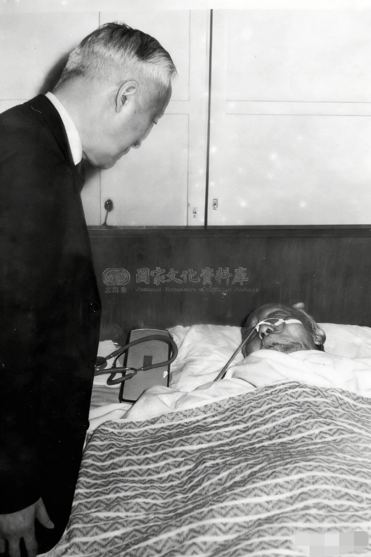 1961年，陈立夫看望弥留之际的老父亲陈其业，一张罕见的留影，照片中的陈其业躺在