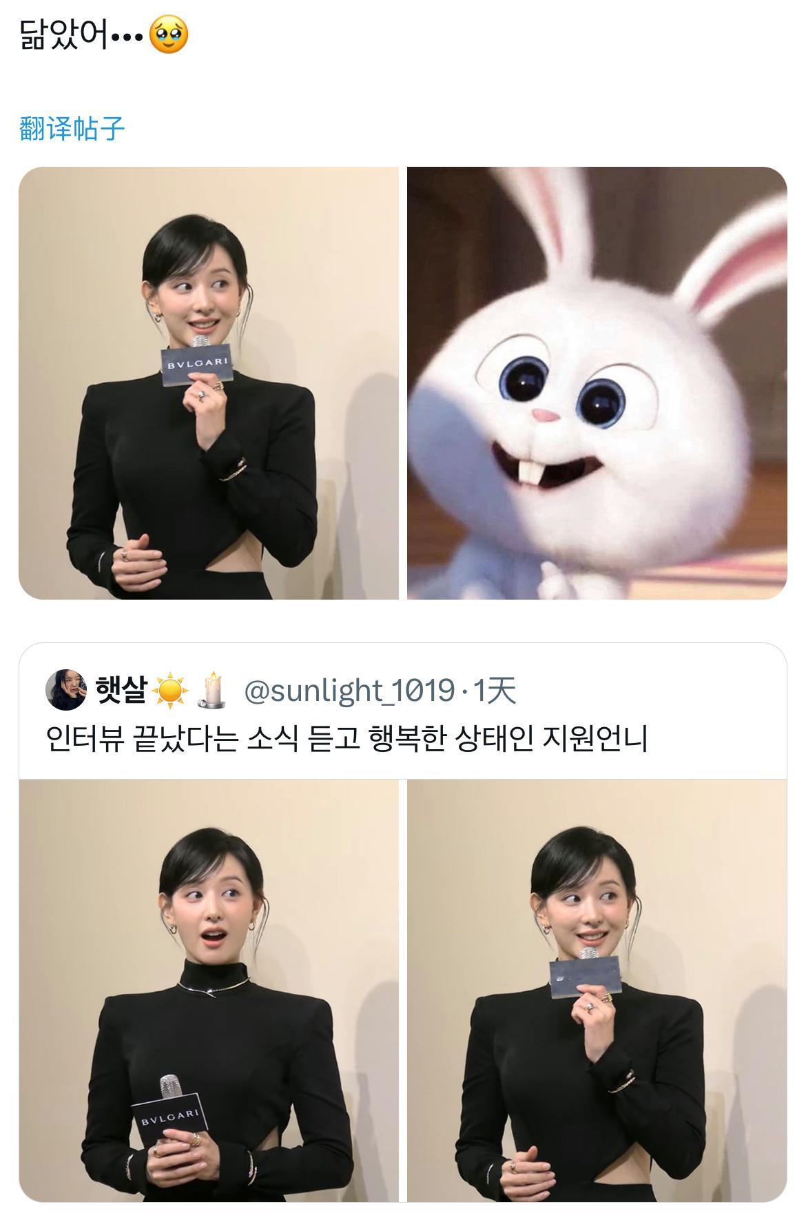 简直一样啊🐰​​​