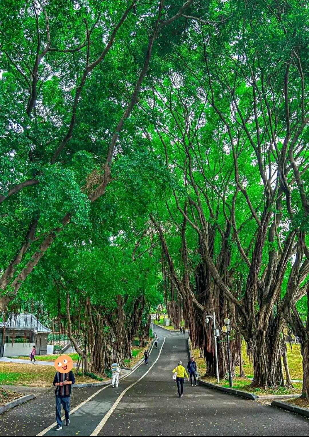 500w就能买下一个人的一辈子无聊突然想算一笔账，一个人从正常工作到退休，大