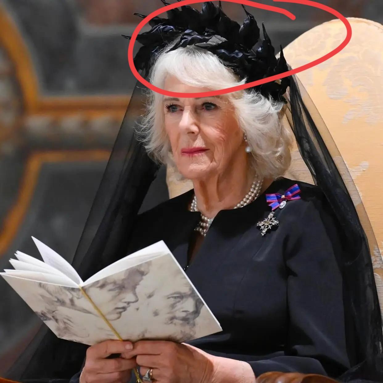 卡米拉这造型，还真的符合她对外的形象！不得不说，卡米拉还是有几分能耐的，这不又