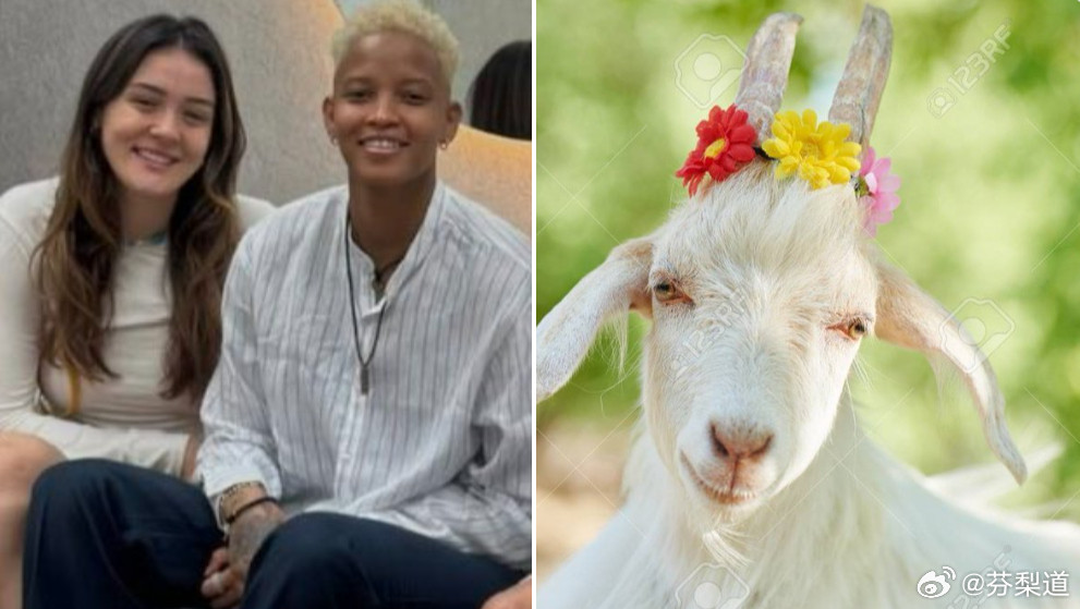 国际排坛动态土耳其女排【瓦尔加斯和泽赫拉-居内什闹翻是因为博斯科维奇？】据消息人