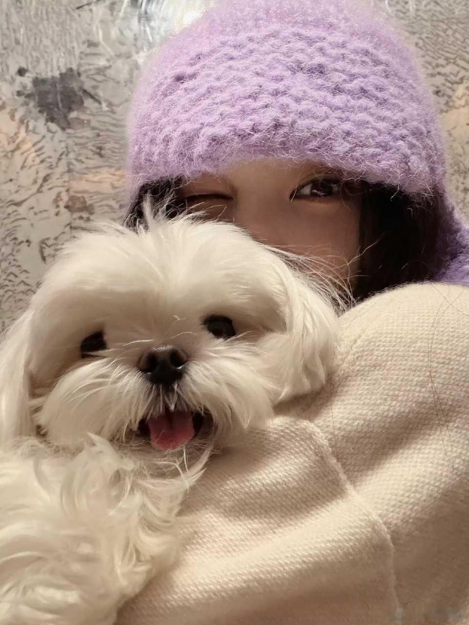 投稿【李一桐】奇怪你爱小狗🐶