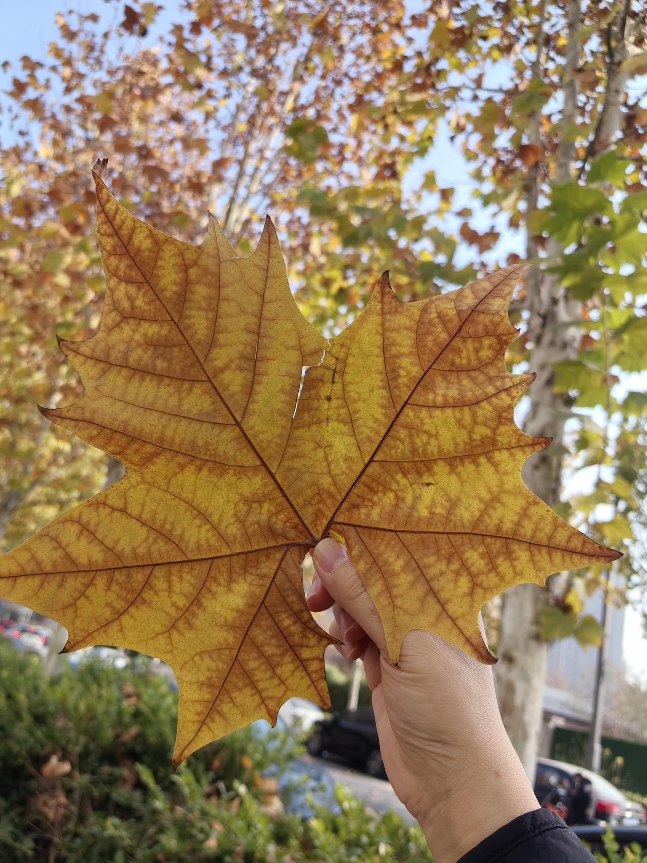 当你老了躺在床上，谁会对你最亲？1、孙子的概率：3%2、孙女的概率：1%