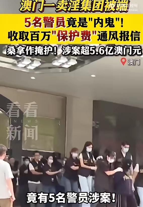 好家伙，这哪是“桑拿”，简直是“藏污纳垢”的VIP会所！表面蒸的是汗，背地里蒸