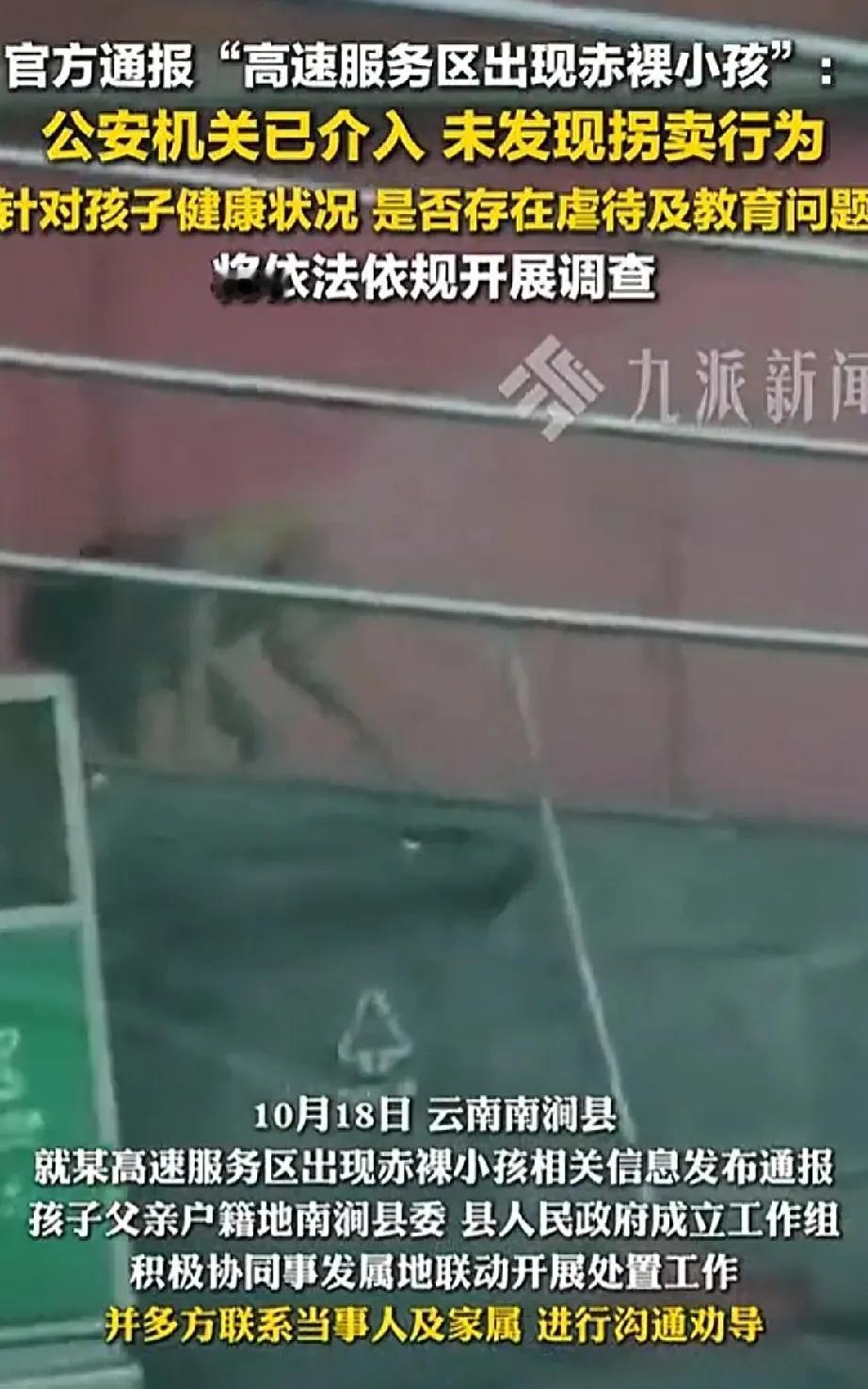 这个高知家庭，接受的应该是早期的公知教育，亲近自然，释放天性。