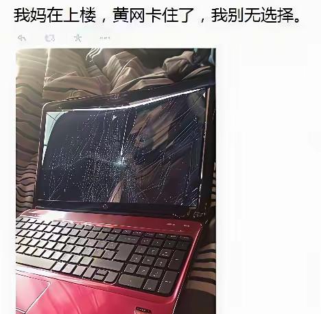 不是，你不能把电脑盖上吗[捂脸哭]