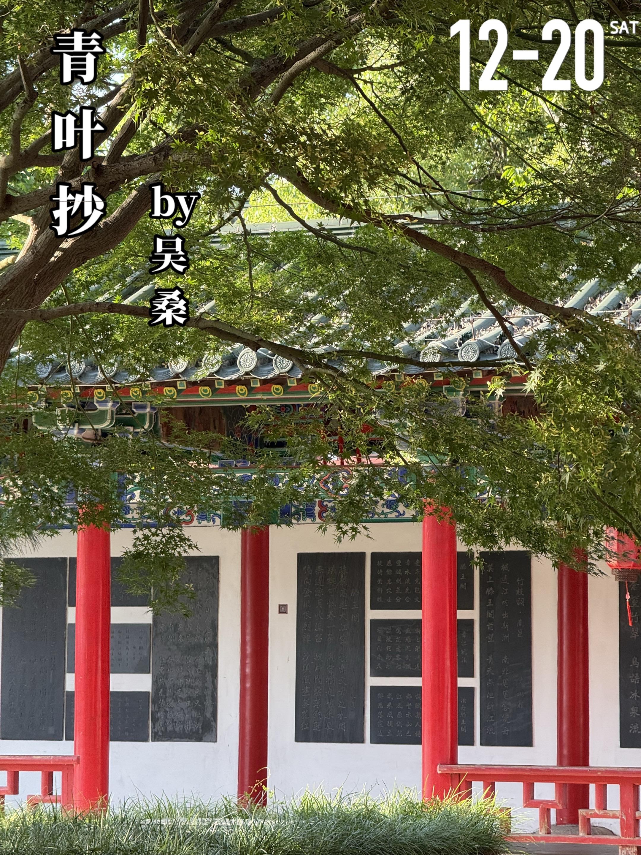 《青叶抄》by吴桑。褚青叶（女主）父亲在她小时候抛下她们母女独自远走...