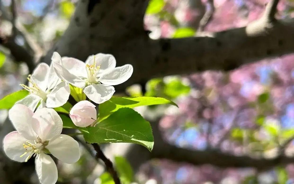 我堂妹是个狠人，辞去公职，专职15年照顾家庭，发现老公出轨了，她不哭不闹，随便她