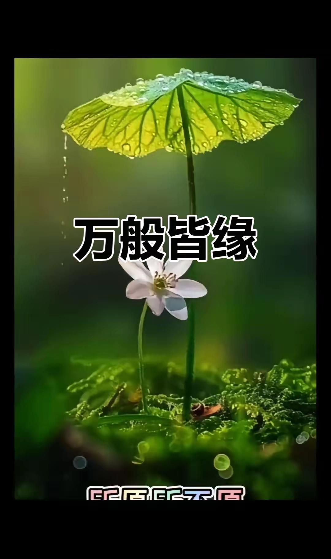 佛说：什么是孽缘？如果你跟一个人在一起，你的情绪暴躁，心情压抑，诸事不顺，说