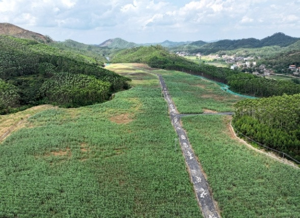 运河“织锦”添新色 土石“变身”显智慧