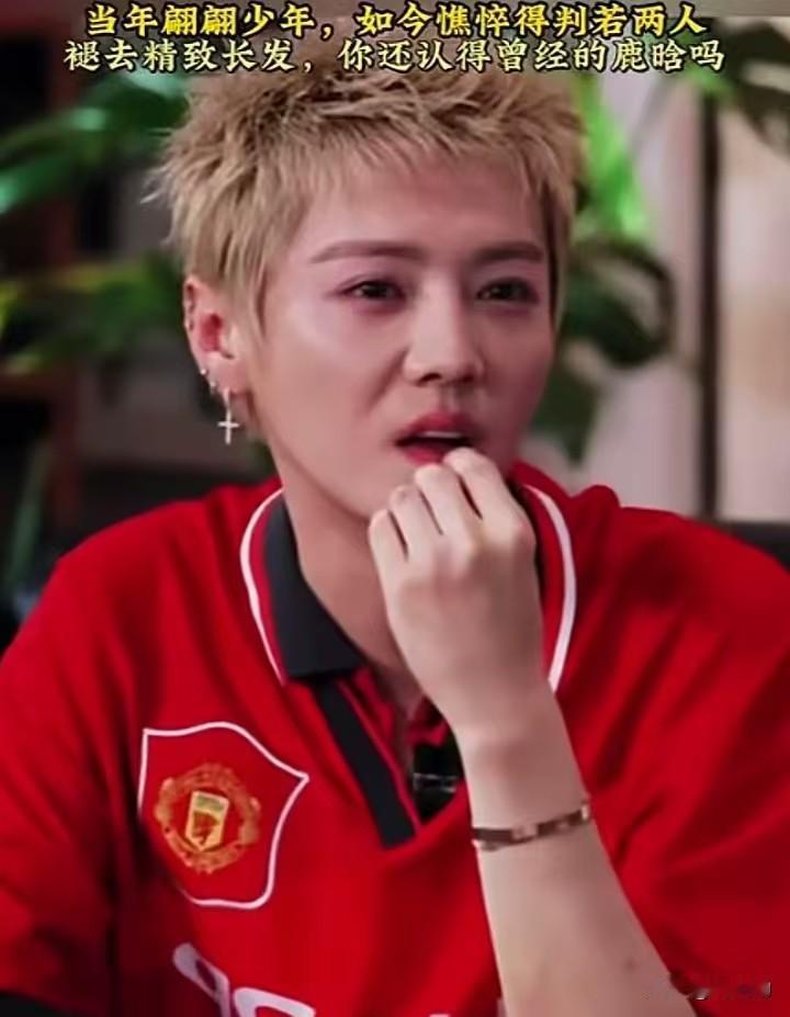 曾经的鹿晗，是内娱耀眼的顶流，眼底盛满少年意气，身姿挺拔耀眼，站在舞台中央自带万