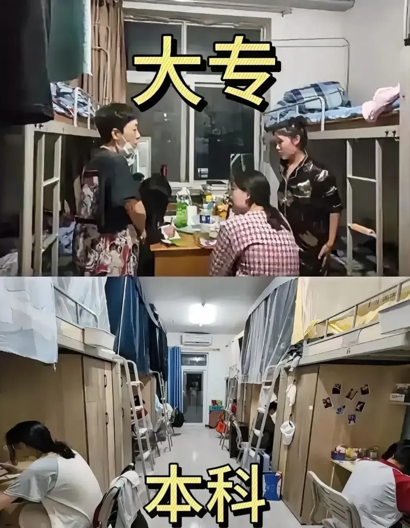 很多大专是混日子的，本科确实是学习的[笑着哭][笑着哭][笑着哭][笑着哭]