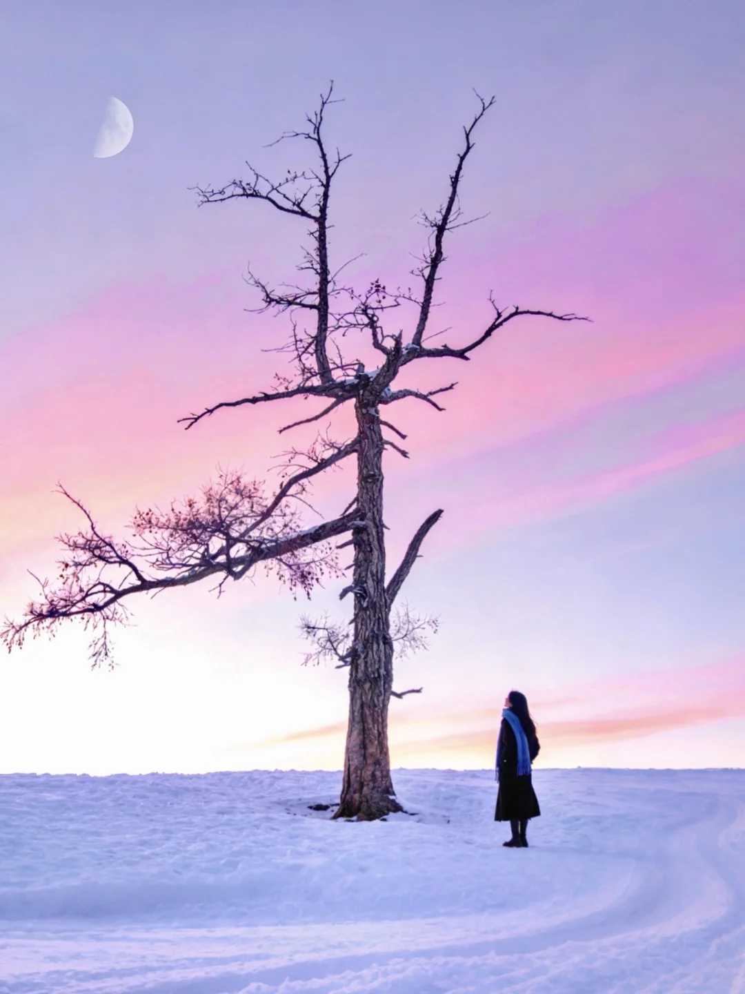 接下来的阿勒泰，堪称国内旅行天花板❄️live！