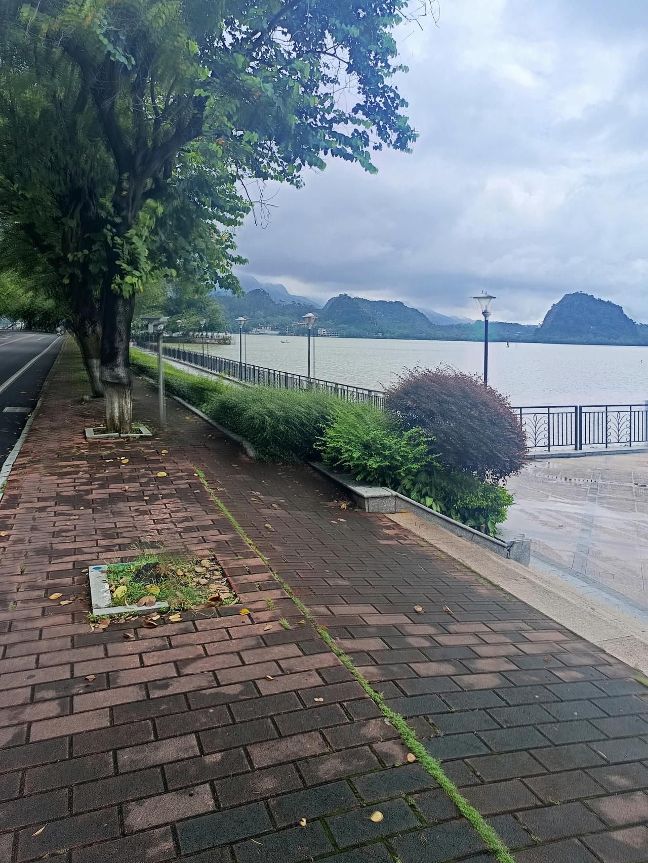 我终于知道了为什么肇庆的星湖这么美平时却没有什么人来？不敢相信吗这