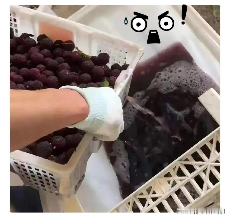 药水泡杨梅的黑心商户，说了一句特别精彩的话。他说：你要是曝光我，比我害人更可恶