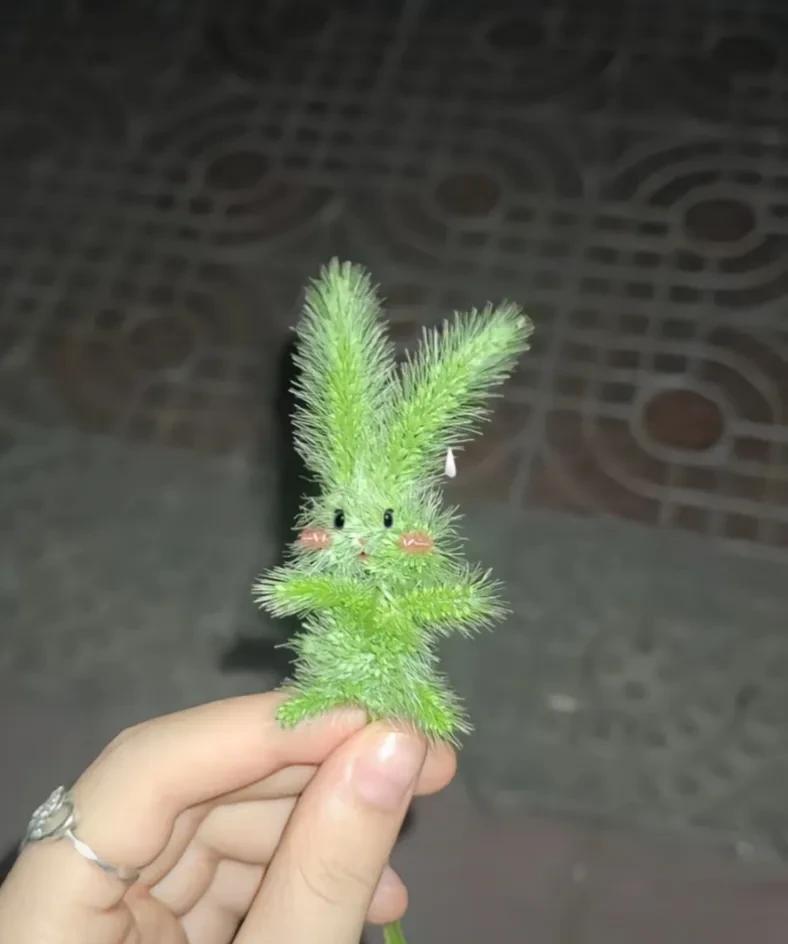 可惜你是城里人，不懂乡野的快乐。扯一把狗尾草，指尖翻飞，就变出毛茸茸的兔子、九