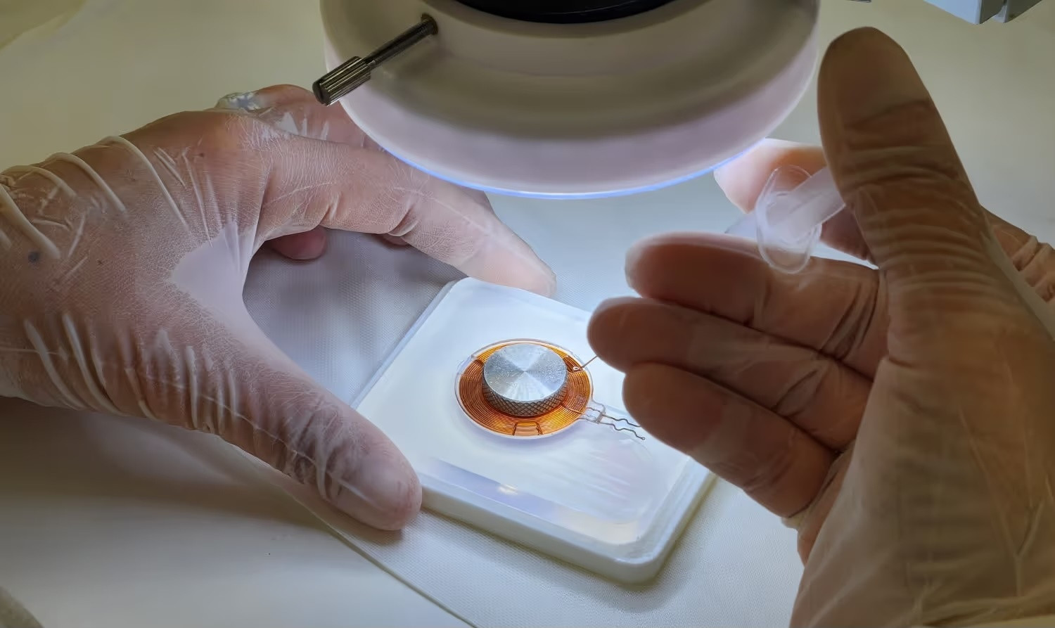 NiaTherapeutics获FDA突破性设备认定：AI脑植入物治疗记忆丧失