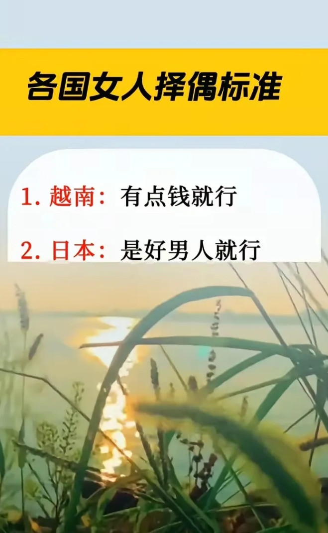 各国女人择偶标准。·1.越南：有点钱就行。·2.日本：是好男人就