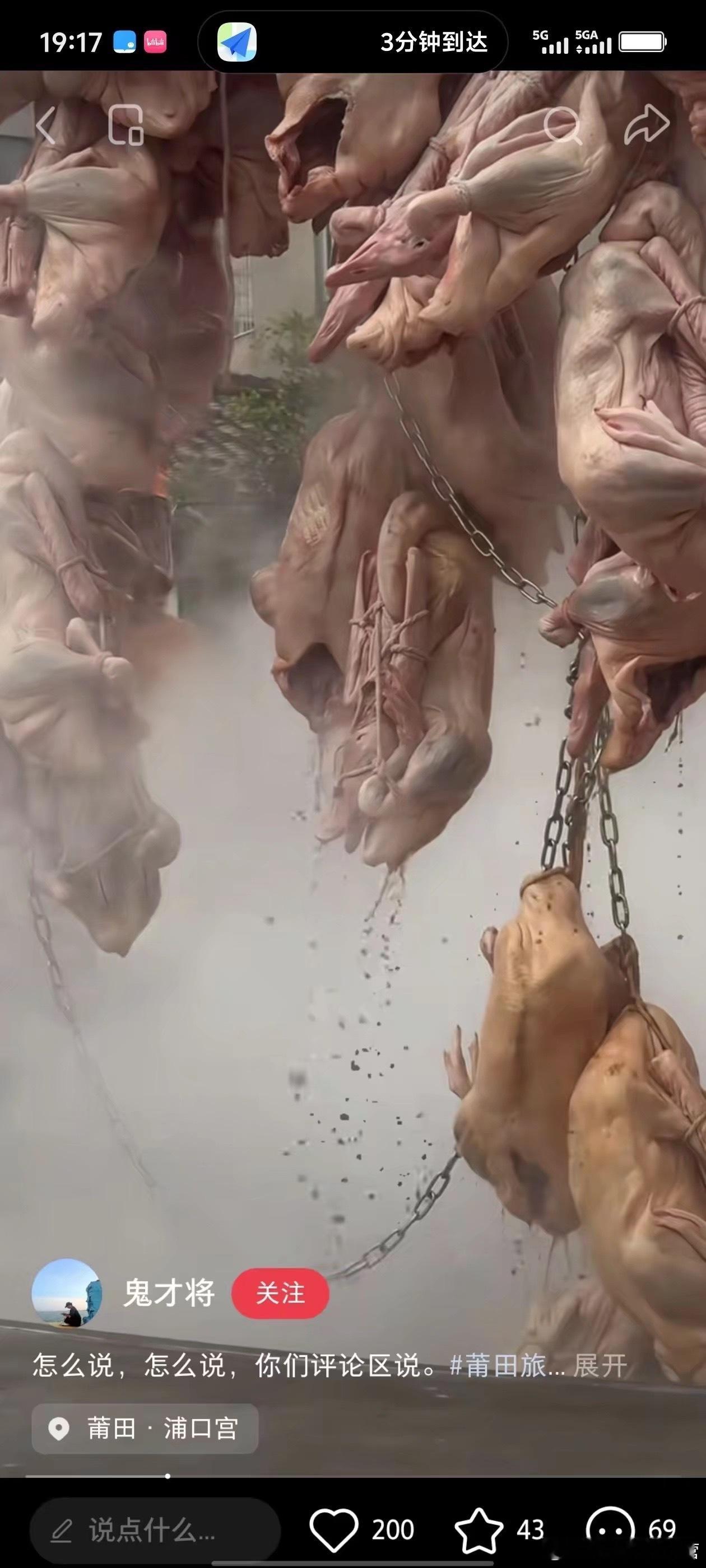 好克系的新年庆祝活动……咋这么烹饪鸭子呢，远看过去我还以为是内啥（内啥）