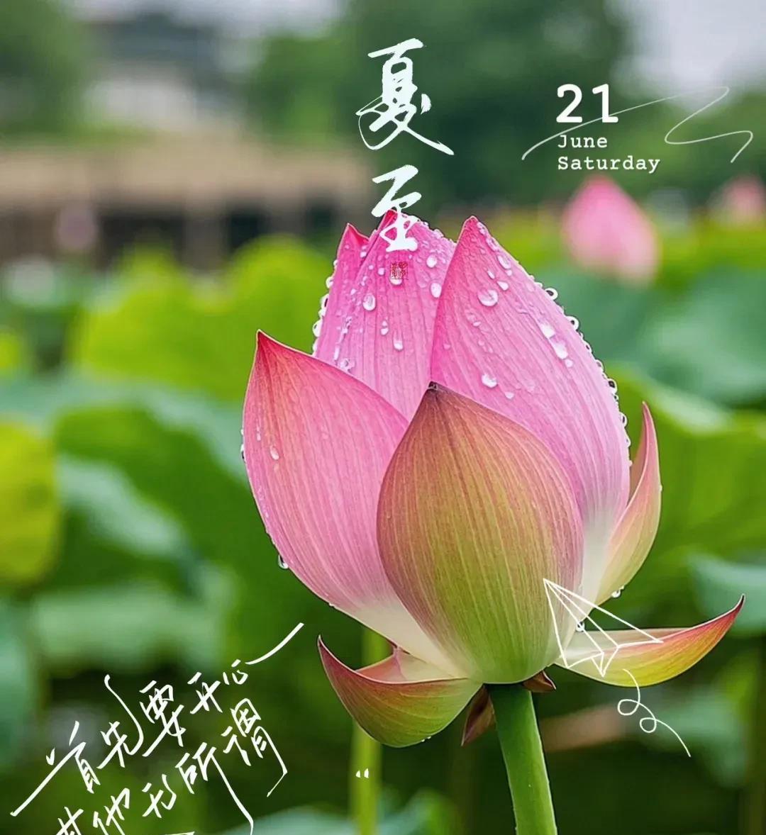 今天是2025年6月21日夏至~夏至是二十四节气的第10个节气。斗指午；太阳
