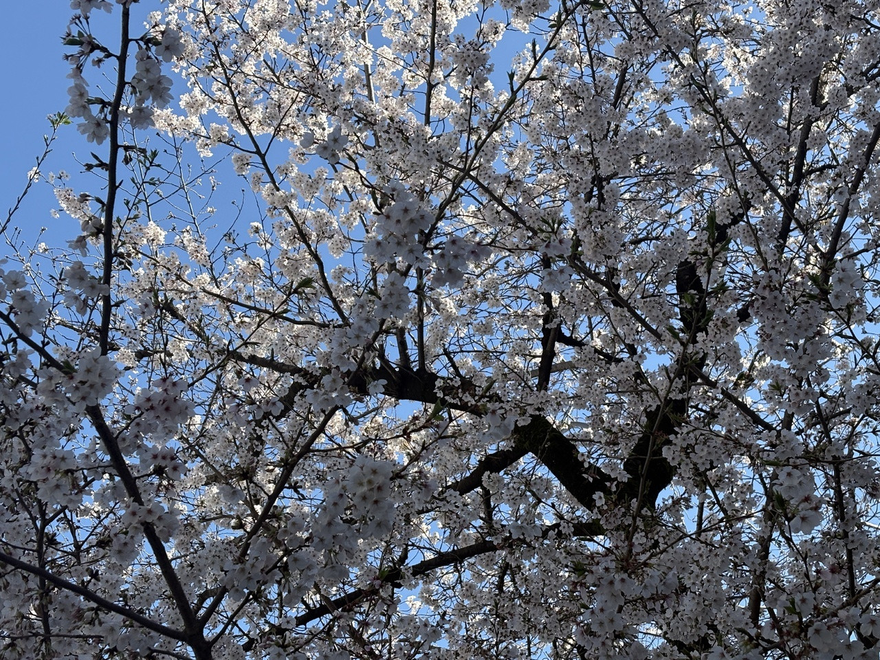高井俐香「雨雨雨！！！！！(๑_๑；)そんな毎日ですね。私はこの数日間で、お気に