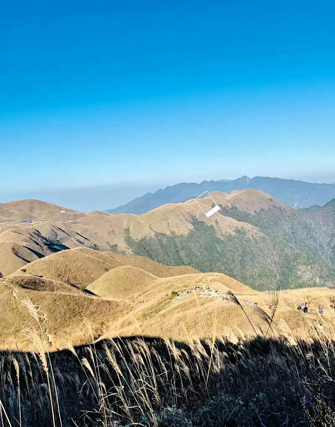 儿子已经连着5个月没发工资了，今天早上，我给他微信里转了6600元。怕儿子不收，