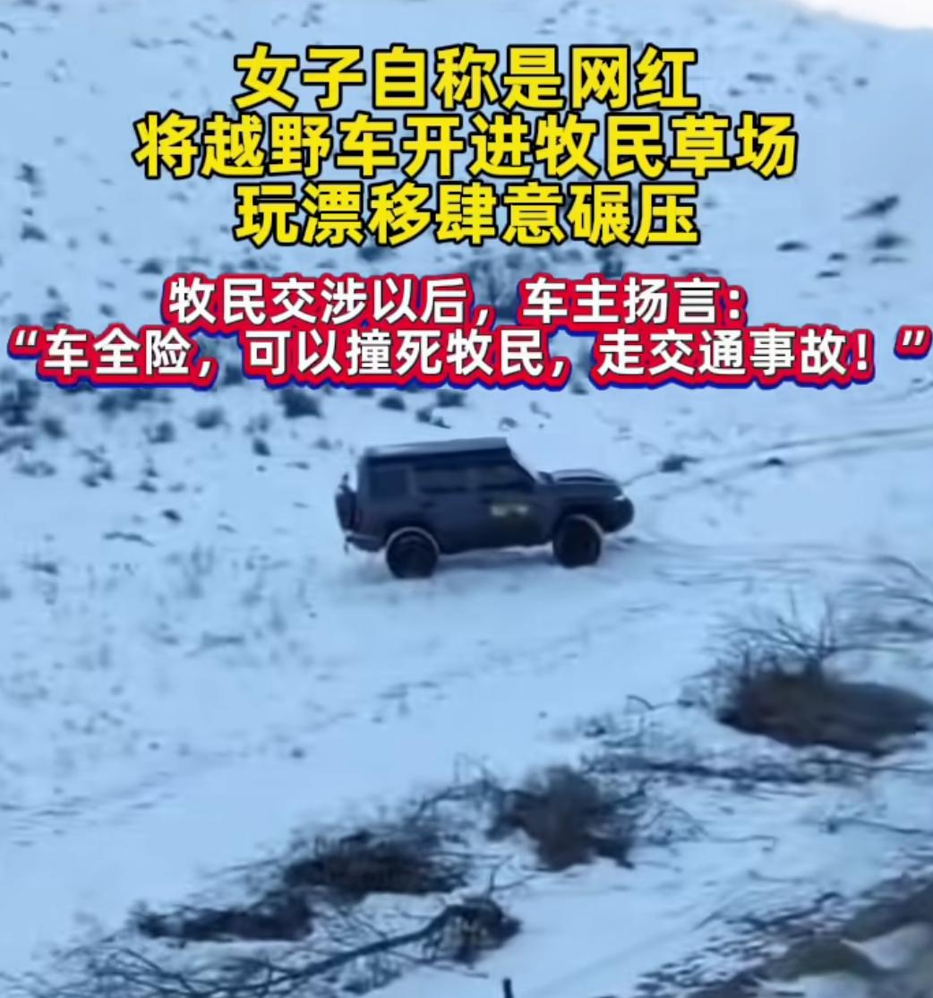 女子开车进牧民草场肆意碾压当事人账号被扒了个底朝天自始自终不承认自己有错