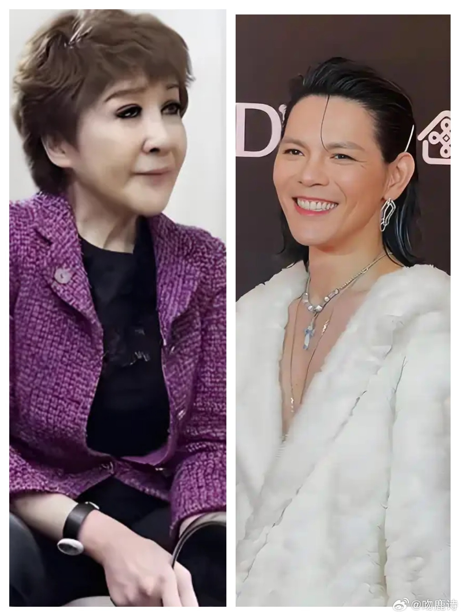 原来向佐在2岁前是丁佩给养着的，丁佩很爱他，直到现在也很爱很爱他，甚至超过爱自己