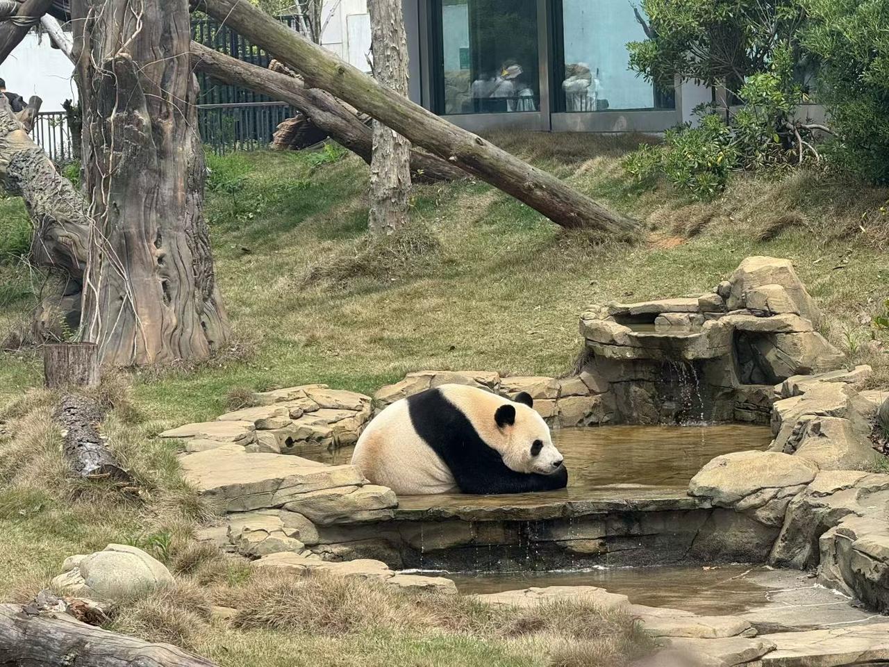 站桩必须常态化站桩锻炼对我们的身体有很大的好处，这不容置疑，但是把站桩