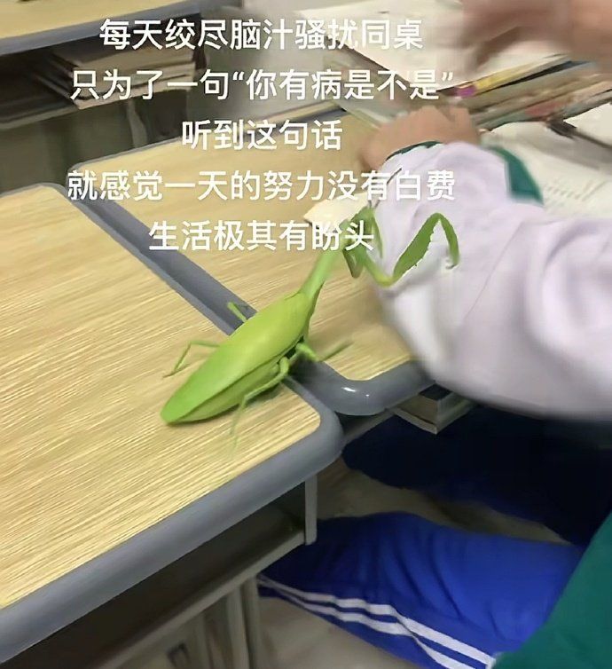 生活极其有盼头