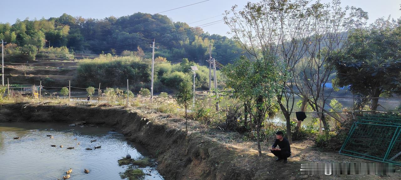 回到家乡，看到人居环境整治，泥塘环境修治，心里感受乡村振兴，以及政府部门对乡村的