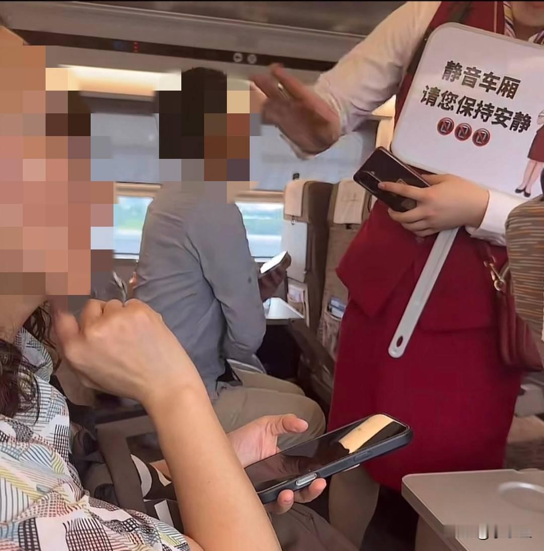 高铁静音车厢现“自说自话”女子20分钟电话不理劝网友吵翻了高铁上的“静音