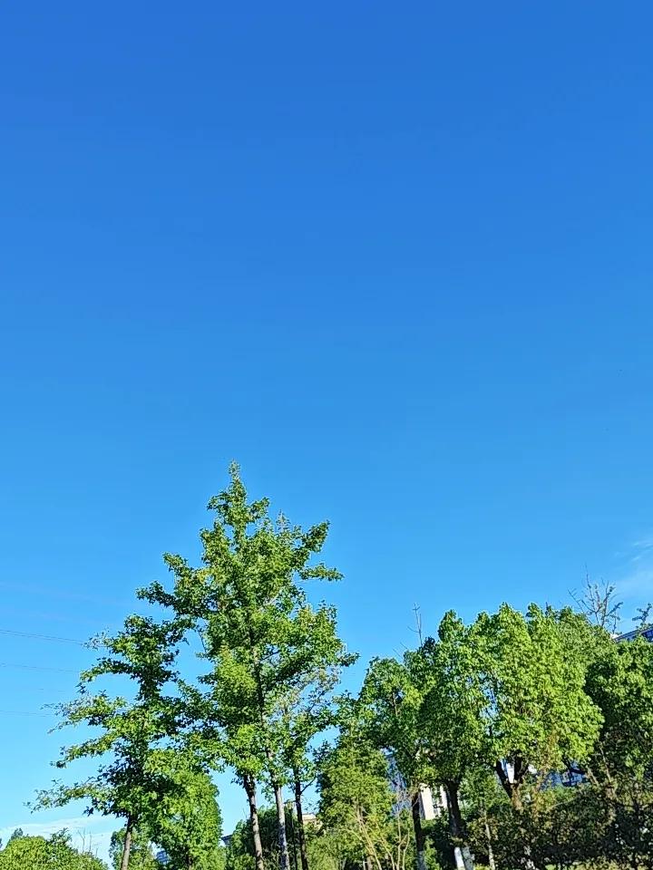 人过45岁，大病都是拖出来的！中老年5大常见病，靠养不靠治说句实话，中老年