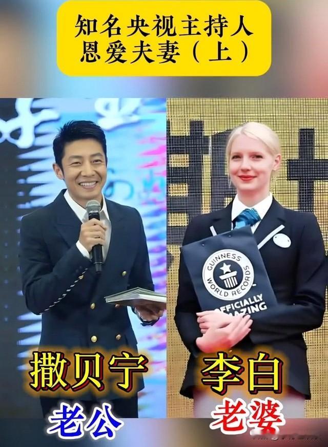 撒贝宁的媳妇是圈外人，任鲁豫的媳妇是圈外人，董卿的老公是圈外人，王宁的媳妇