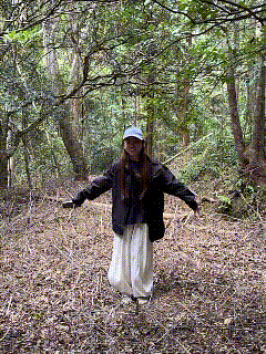 你以为找到了原生态蹦床,结果却是踩到了眼镜蛇王的窝了。一博主发了自己进山游玩的