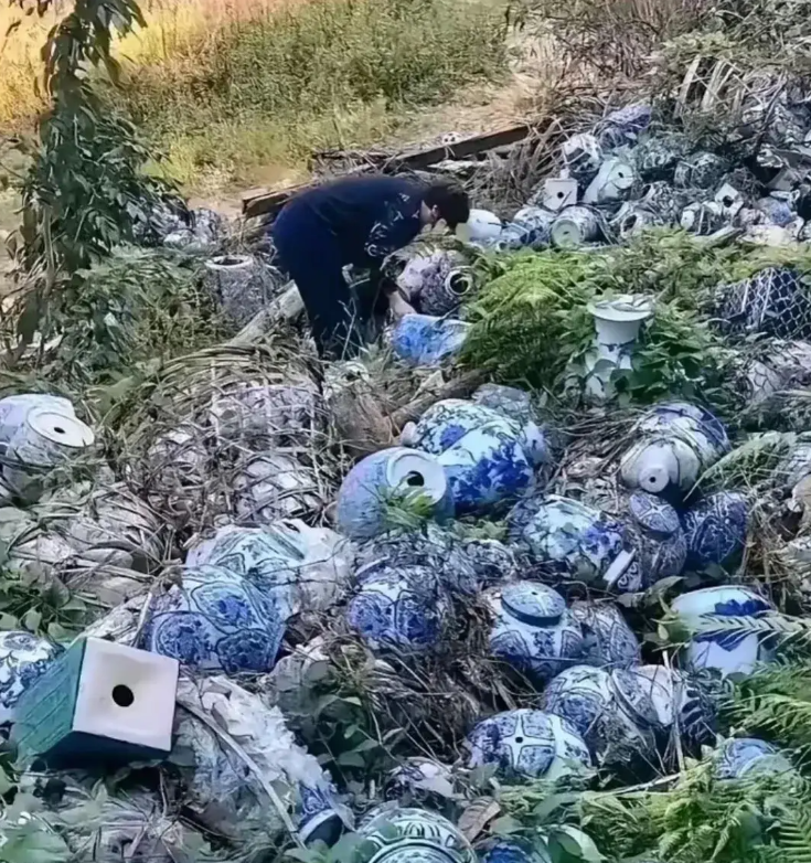 爬山遇到的，是不是发财了？