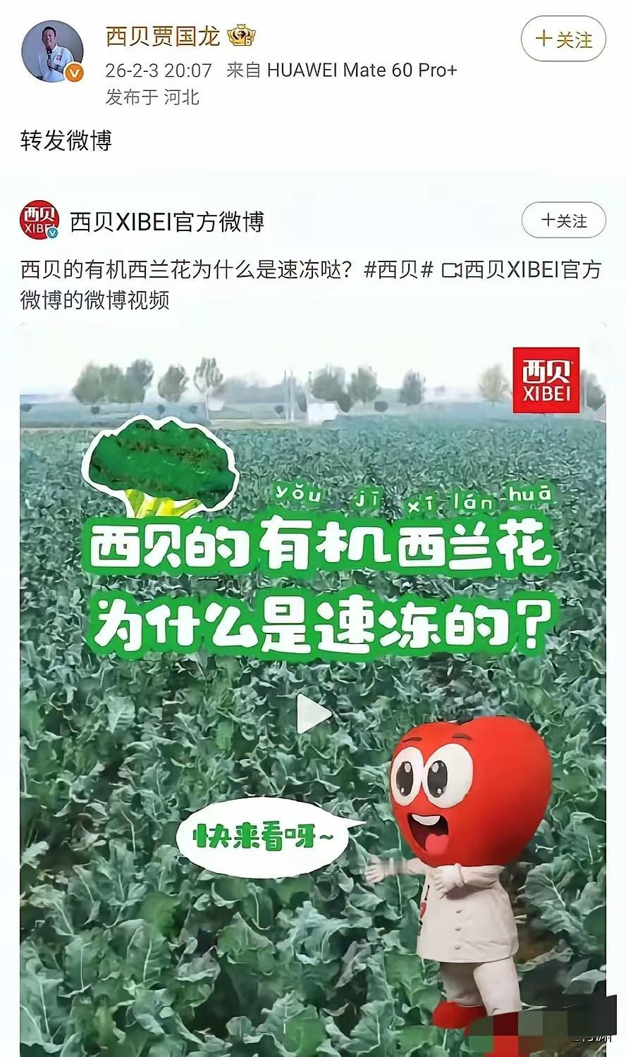 西贝的贾总真有意思，就在大家快要忘记他和西贝的时候，冷冻真空的西兰花就是比新鲜的