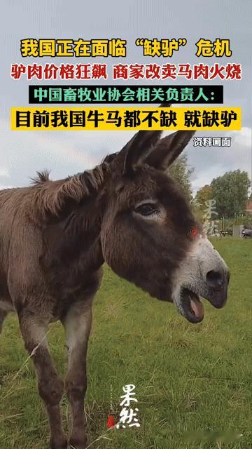 啥？我国牛马不缺却缺驴！驴肉价狂飙，商家竟改卖马肉火烧你敢信？我国现在牛马
