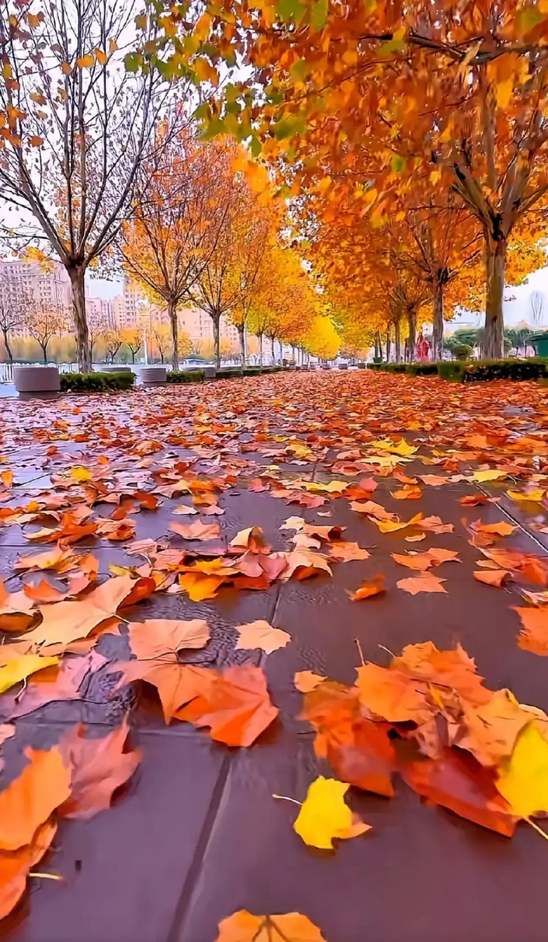 退休后的另一场上班老刘，以前在电业公司当老总，退休了，没像别人那样养花遛鸟