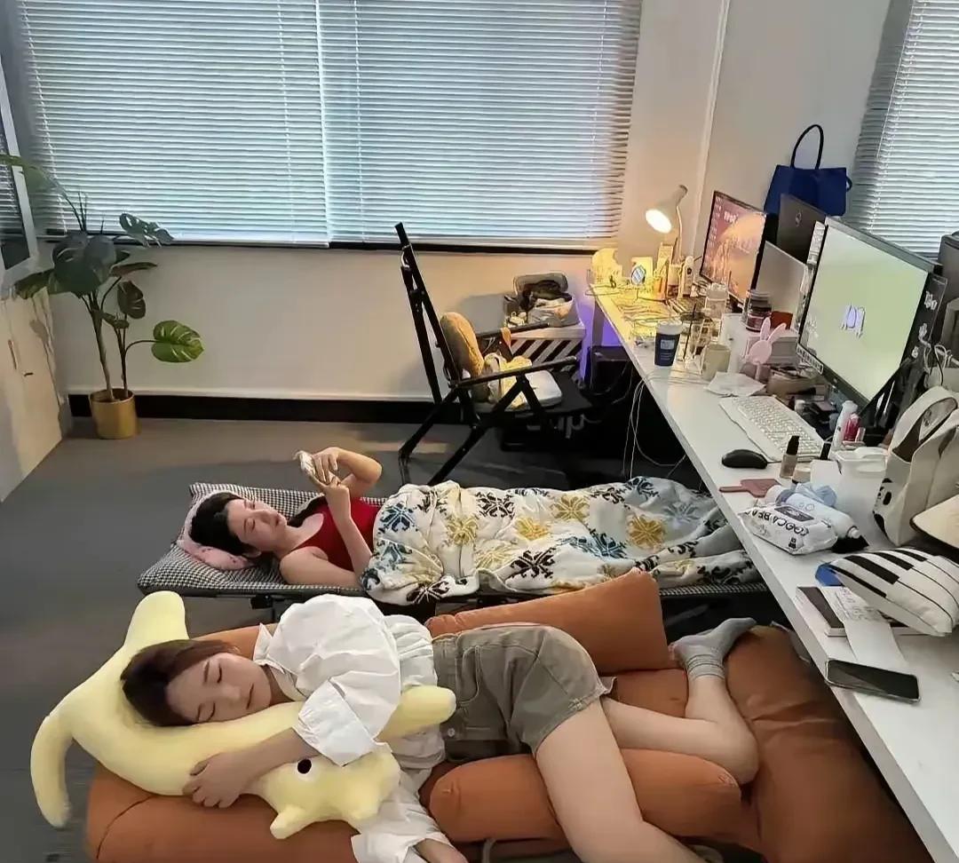 网上尽是这种办公室午休的，不是说只有山西人才午睡吗？难不成这些办公室都在山西？