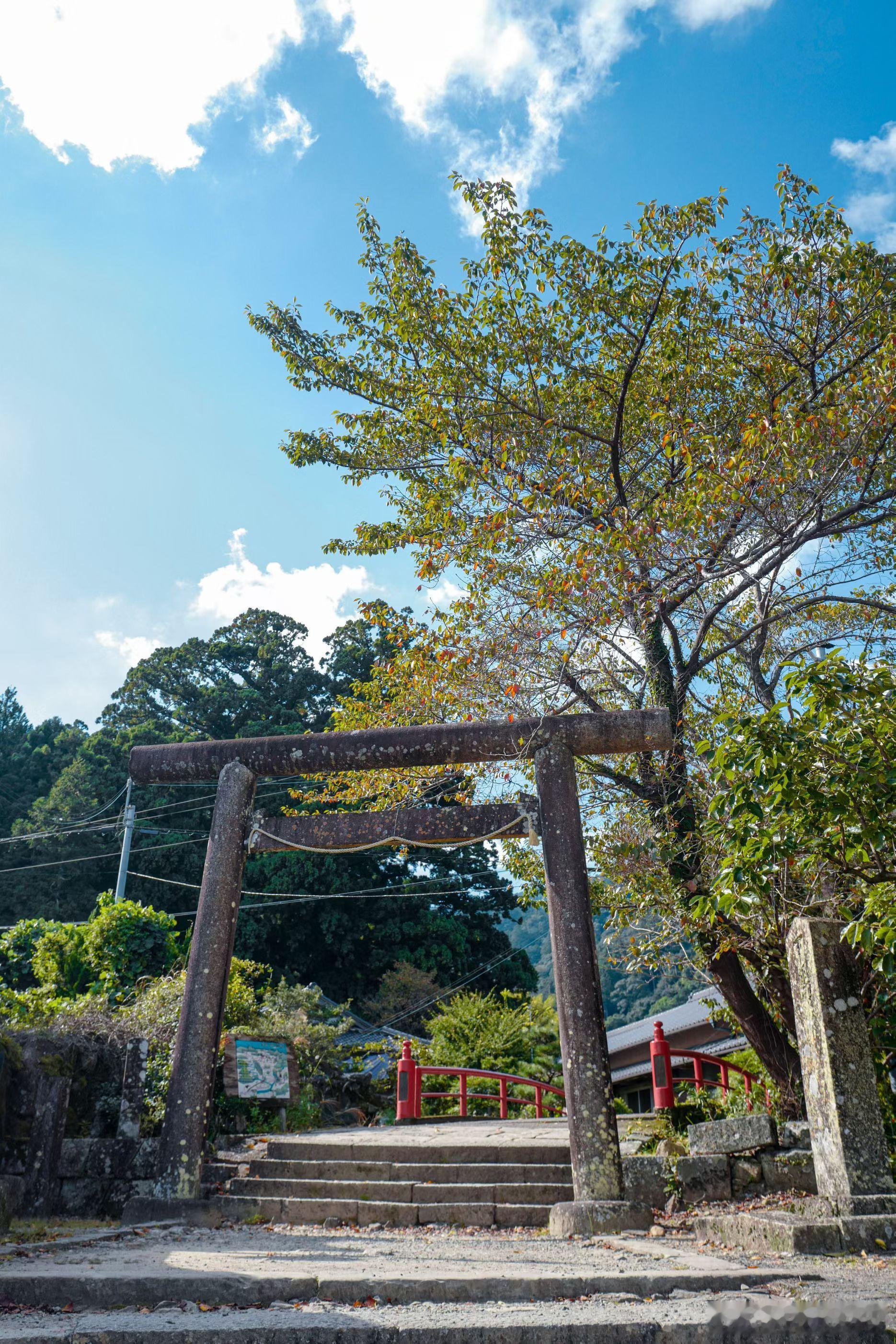 熊野古道徒步第一天，从大门坂到那智大社。青苔，古杉，石阶。一路向上，光就在前面。