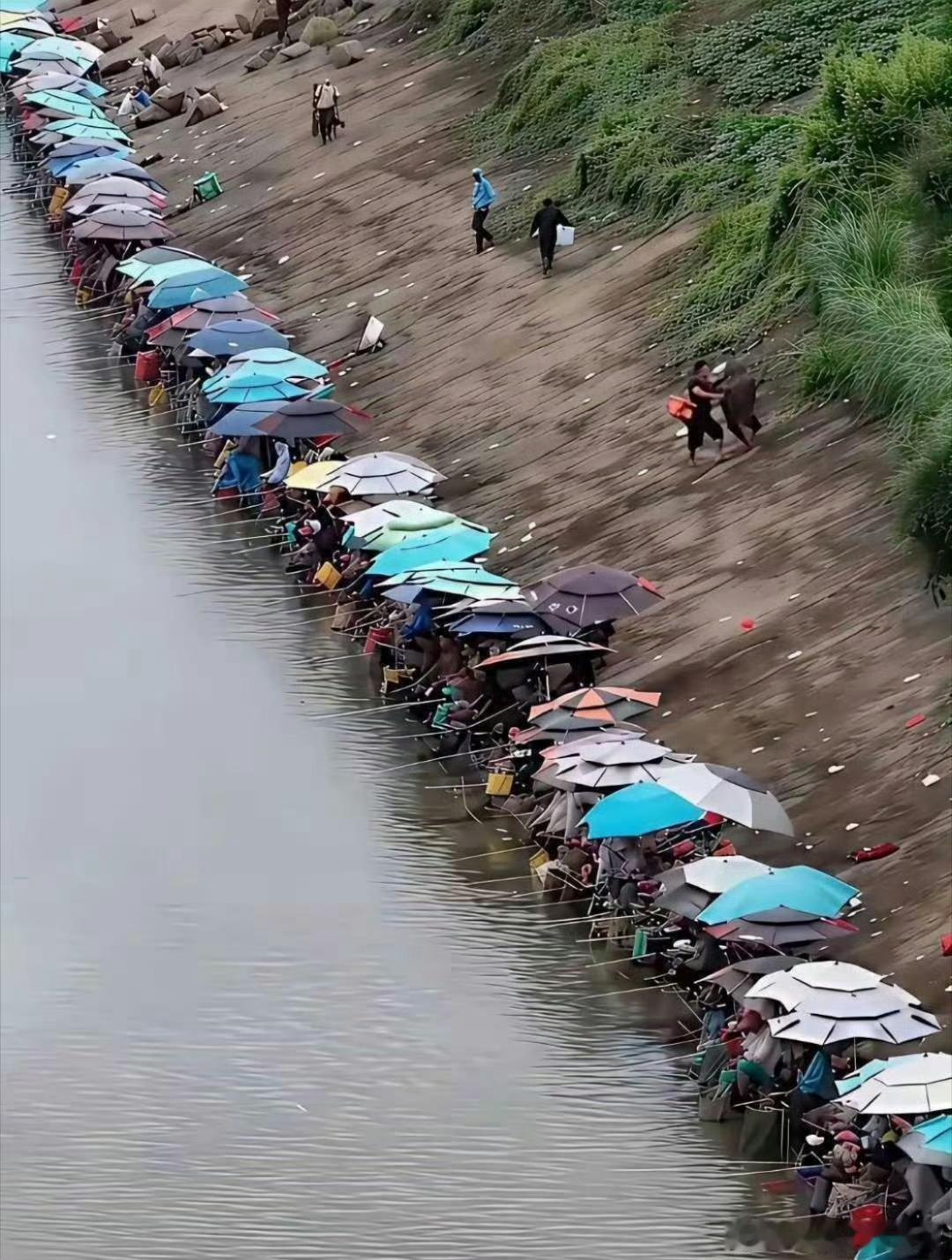 如果在这里做生意，你说卖点什么好？​​​​