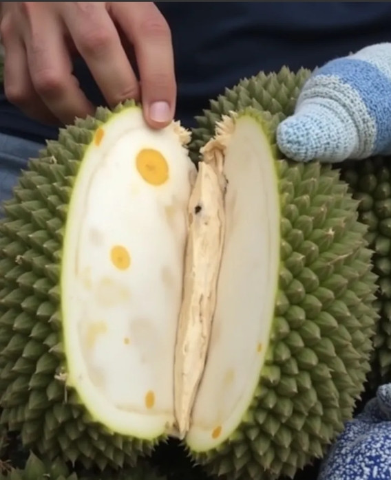 上海一名女子发视频称，自己去买榴莲时，特意挑了一个比脸还大的榴莲，让老板帮忙现场