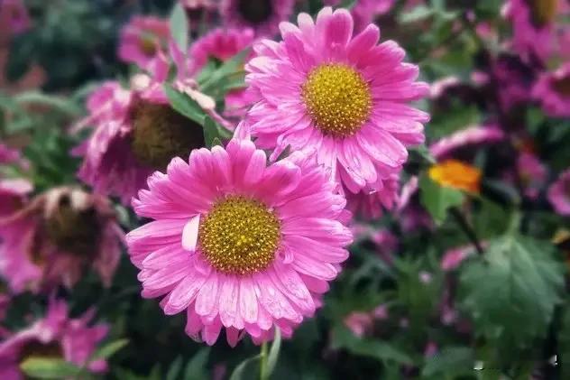 分享手机里随手拍的风景照片